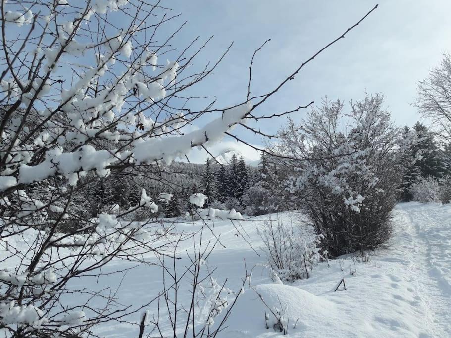 Apartamento Duplex 59M2 - Proche Centre - Balcon Plein Sud Corrençon-en-Vercors Exterior foto
