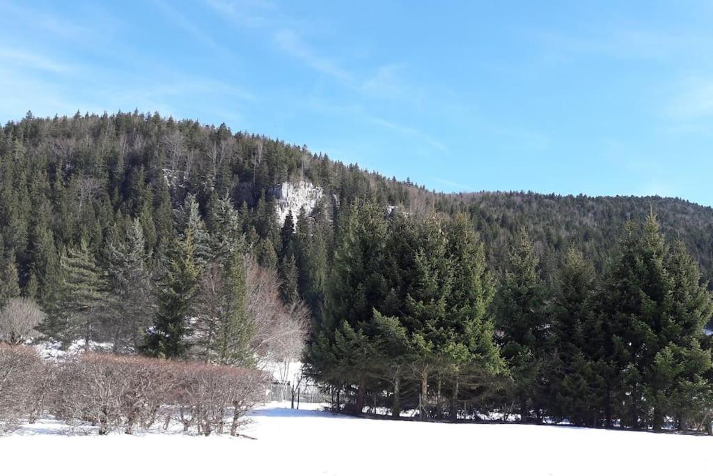 Apartamento Duplex 59M2 - Proche Centre - Balcon Plein Sud Corrençon-en-Vercors Exterior foto